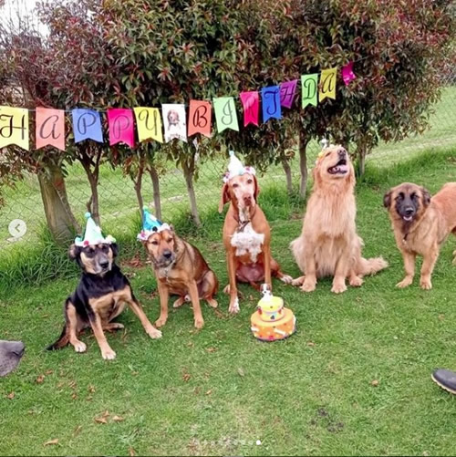 CUMPLEAÑOS